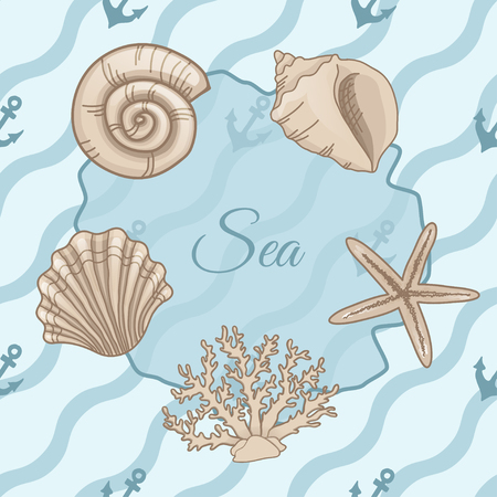 Set of seashells with seamless patterns of waves. Blue background. Vector illustrationのイラスト素材