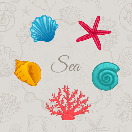Set of seashells with seamless pattern. Vector illustrationのイラスト素材