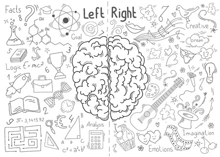 Concept of the human brain. Left and right brain functions conceptのイラスト素材