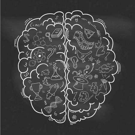 Concept of the human brainのイラスト素材