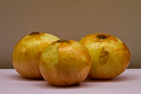 onion in kitchenの写真素材