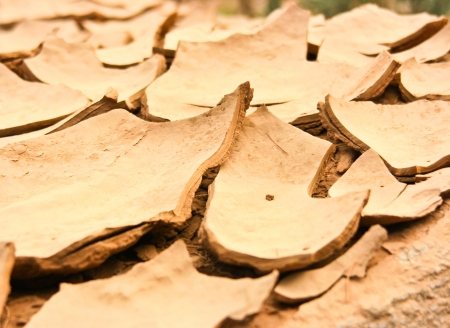 The cracked surface of the soil in the dry seasonの写真素材