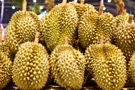 Durian is fruit in Thailandの写真素材