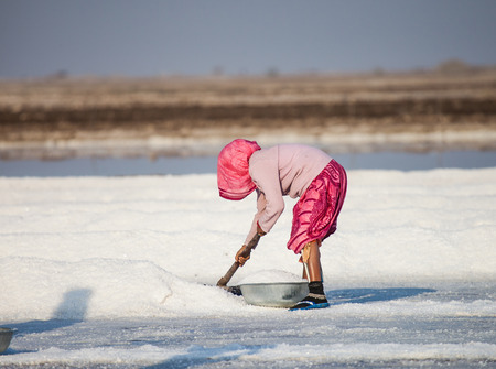 Salt farming in Indiaの写真素材
