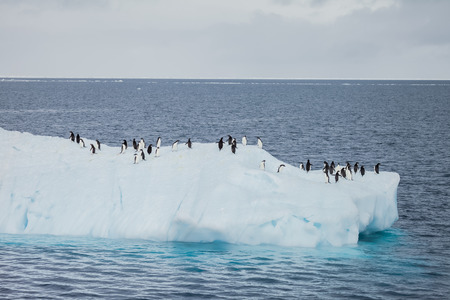 An iceberg or ice mountain is a large piece of freshwater ice that has broken off a glacier or an ice shelf and is floating freely in open water.の写真素材