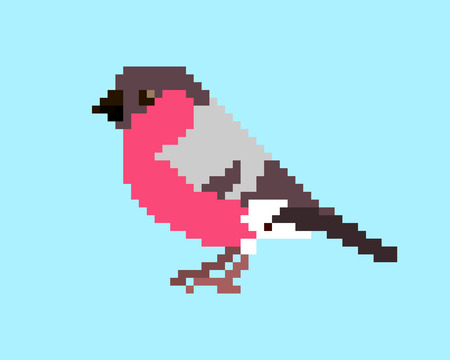 pixel art illustration of bullfinch isolated on light blue background.のイラスト素材