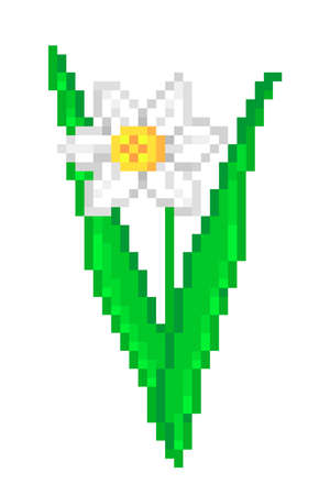 Single white narcissus flower, pixel art icon isolated on white background. 8 bit spring nature symbol. Old school vintage retro slot machine/video game graphics. Romantic bouquet.のイラスト素材