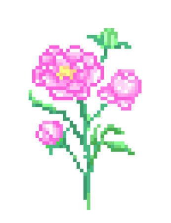 Bouquet of pink peonies with buds and leaves, pixel art illustration isolated on white background. Romantic floral composition.Old school 8 bit slot machine symbol. Retro 80s; 90s video game graphics.のイラスト素材