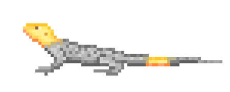 Common agama, grey african lizard with yellow head, pixel art icon isolated on white background. Exotic pet. Old school 8 bit slot machine pictogram. Retro 80s; 90s video game graphics. Pet shop logoのイラスト素材