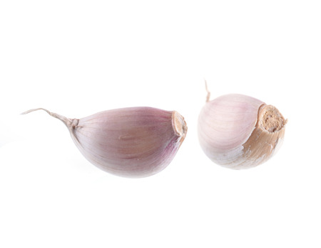 Garlic isolated on whiteの写真素材