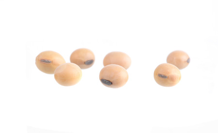 Soybean isolated on whiteの写真素材