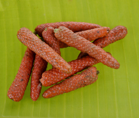 Long Pepper on banana leafの写真素材