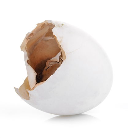 Broken egg shell isolated on white background