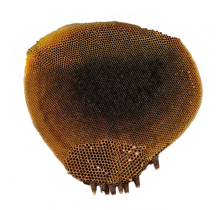 Honeycombの写真素材