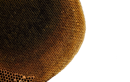 Honeycomb a backgroundの写真素材