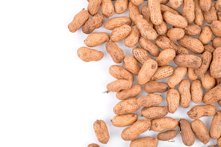 Peanut isolated on white background (peanut)の写真素材