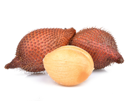 Salak Palm isolated on white background.の写真素材