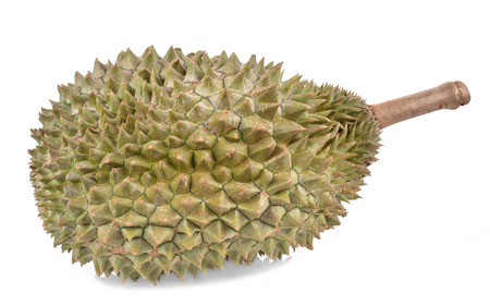 King of fruits, durian isolated on white backgroundの写真素材
