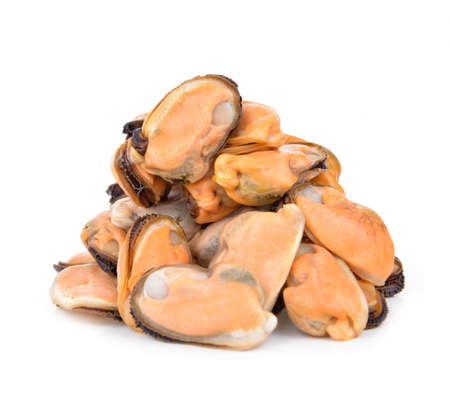green mussel on white backgroundの写真素材