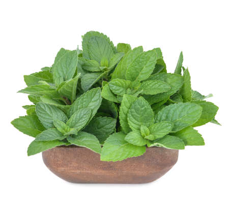 Fresh mint leafs isolated on a white backgroundの写真素材