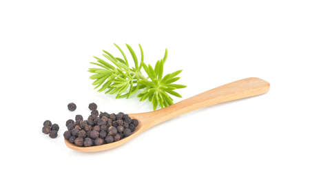 Black pepper was placed on a white backgroundの写真素材