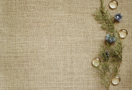 Canvas background with handmade flowers and thuja branchesの写真素材
