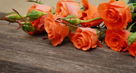 Orange roses on old wooden backgroundの写真素材
