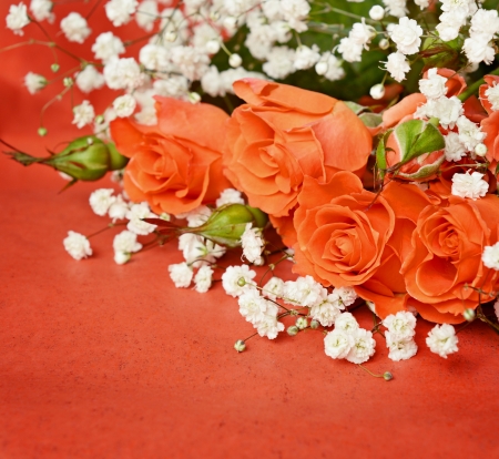 Orange roses on orange paper backgroundの写真素材