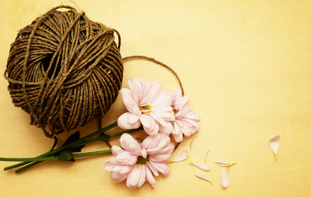 Aster flowers and a rope on wooden backgroundの写真素材