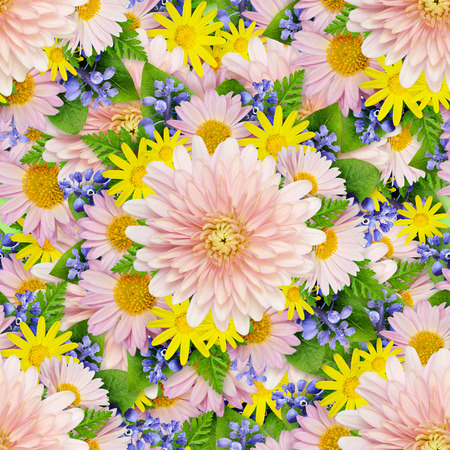 Aster and wild flowers seamless pattern for background
