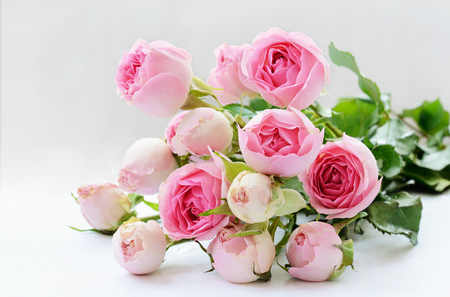 Pink rose flowers bouquet on light backgroundの写真素材