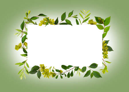 Fresh twigs with green leaves and small flowers in a border for white card isolated on green...