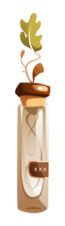 Sprouted acorn in a glass of water.のイラスト素材