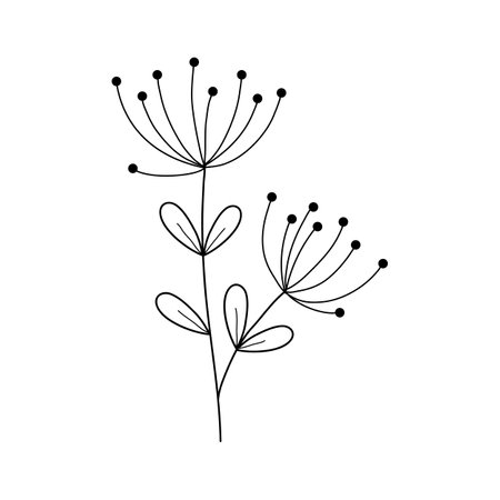 branch with seeds and leaves icon over white background, vector illustrationのイラスト素材
