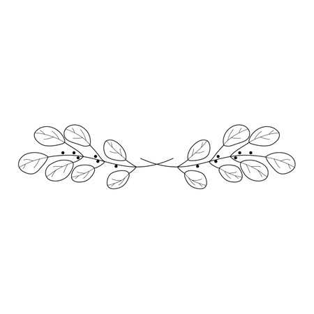 Hand drawn doodle branch with leaves isolated on white background.のイラスト素材
