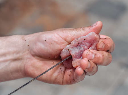 grilled meat on a barbecue, hand holds skewer and puts on meat for barbecueの写真素材