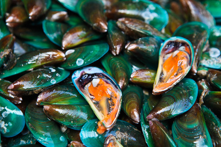 fresh shellfish in the marketの写真素材
