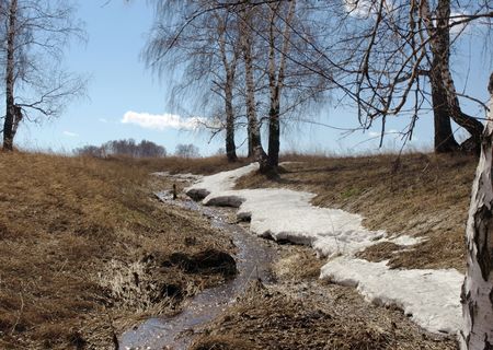 Russia, Novosibirsk region, early spring in the middle laneの写真素材