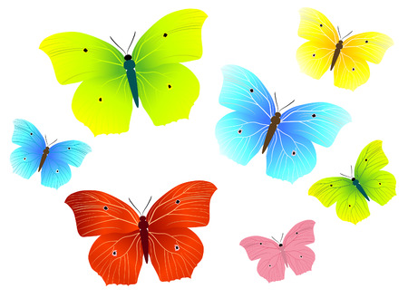 butterflyのイラスト素材