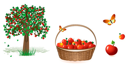 tree and a basket of applesのイラスト素材