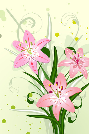 lily flowersのイラスト素材
