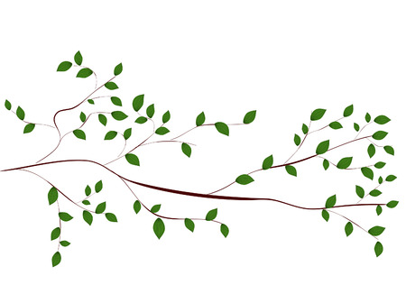 tree branchのイラスト素材