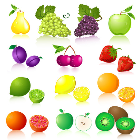 Fruit setのイラスト素材