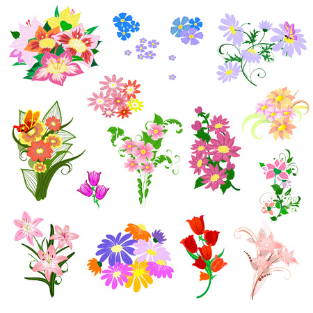 set a bouquet of flowersのイラスト素材