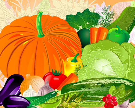 Vegetables from the gardenのイラスト素材