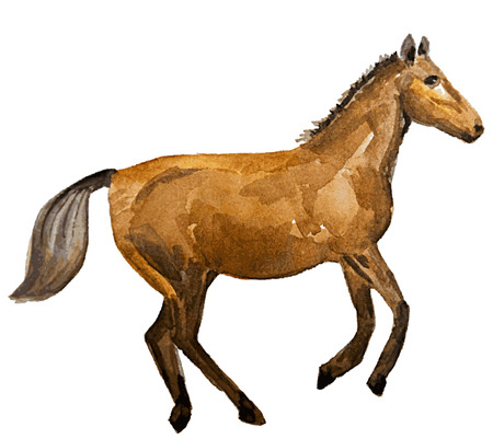 horseのイラスト素材