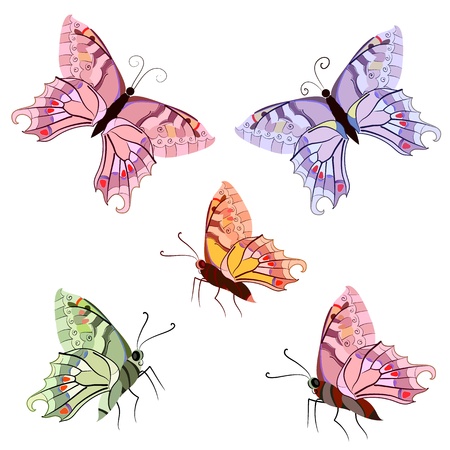 graceful tropical butterfliesのイラスト素材