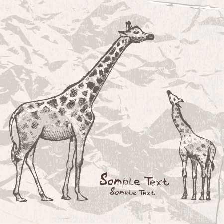 picture Giraffe Artのイラスト素材