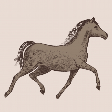 Art picture horses のイラスト素材