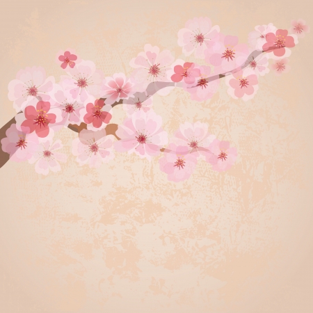 cherry blossoms on paper grungeのイラスト素材